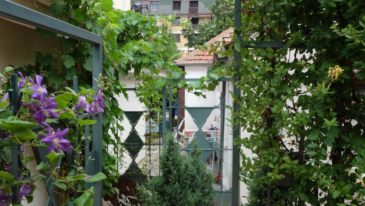 Kompleks Apartmana Superstar23A Sokobanja Buitenkant foto