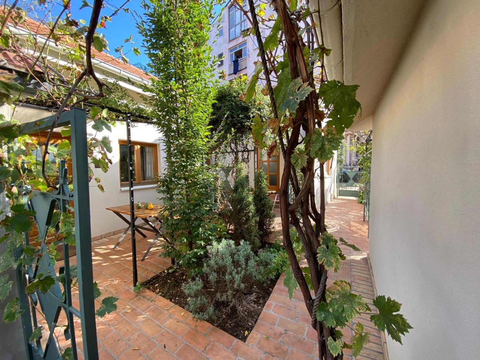 Kompleks Apartmana Superstar23A Sokobanja Buitenkant foto