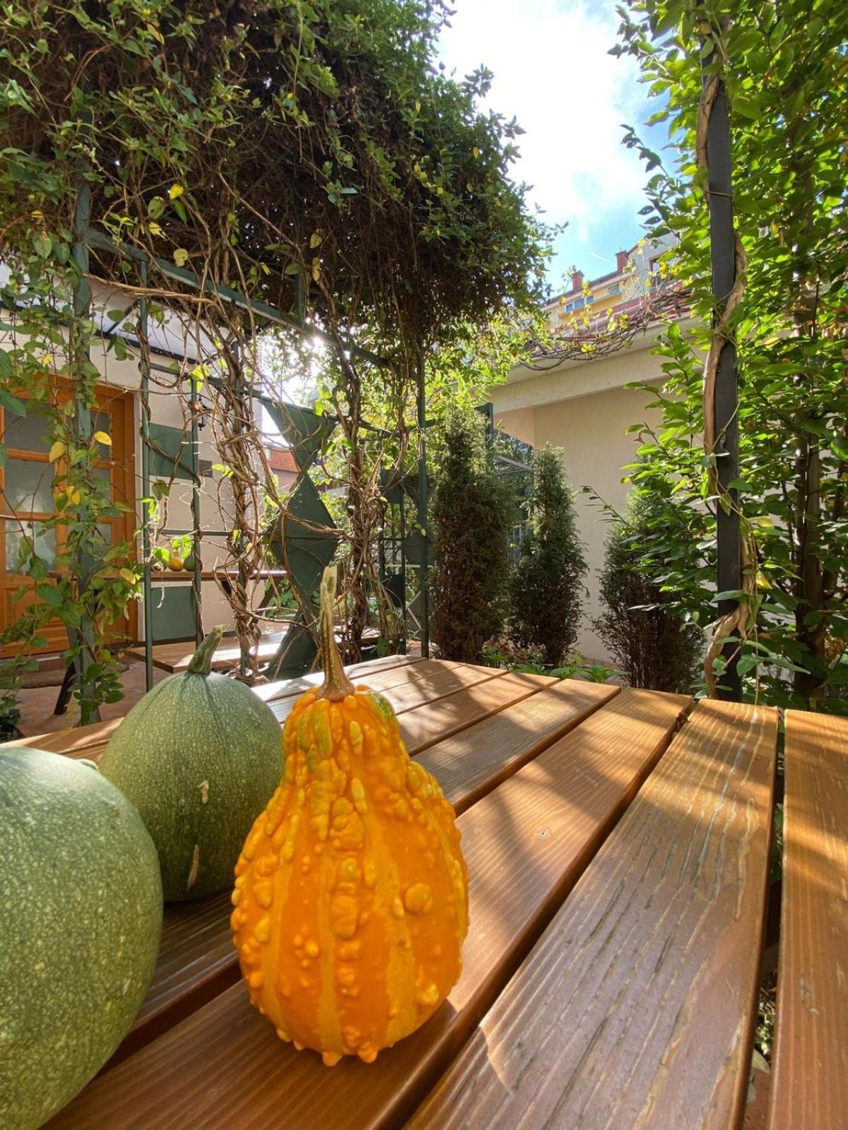 Kompleks Apartmana Superstar23A Sokobanja Buitenkant foto
